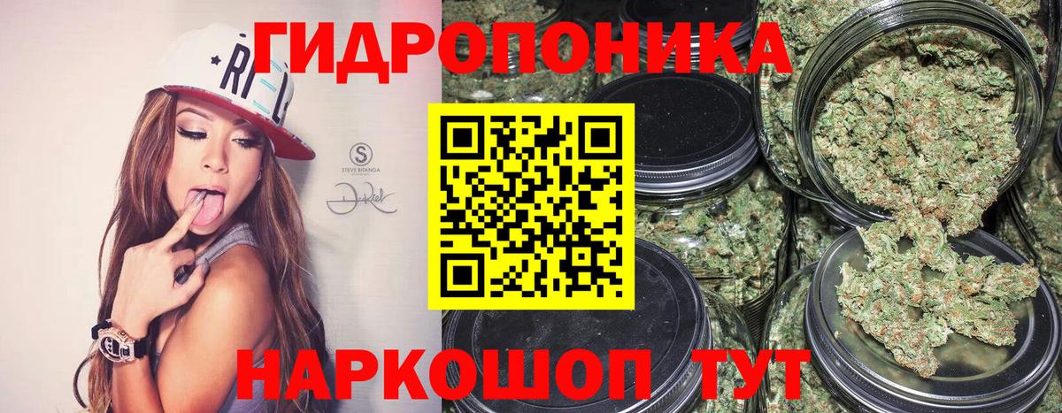 Елизово  Каннабис THC 21%  МАРИХУАНА планчик  Каннабис тримм  Вход с VPN  Марихуана AK-47 